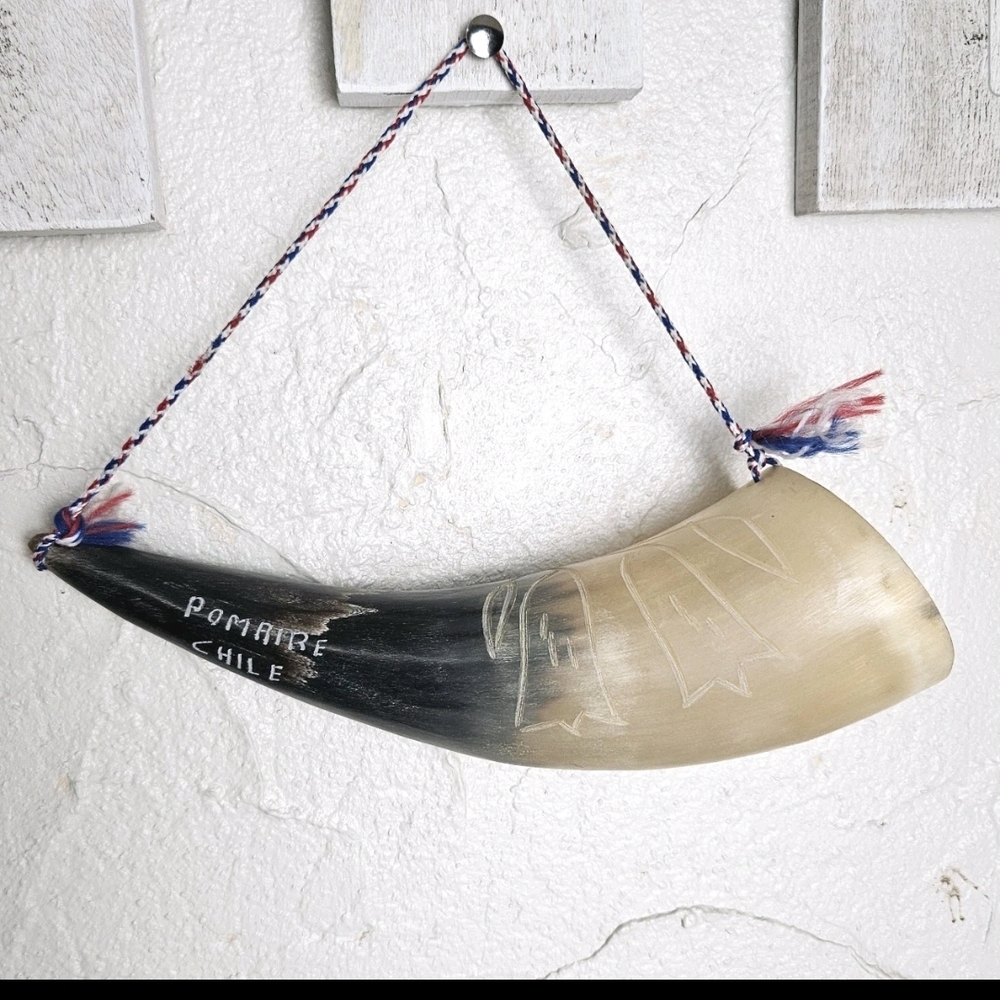 Carved Norse Nordic Forklore Viking Horn Pomaire Chile Souvenir 9” Long
